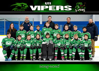 KVU11VIPERS