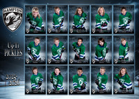 HAMPTON U9T1 PICKLES