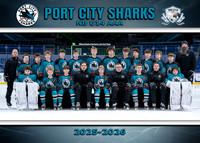 U14 AAA PORT CITY SHARKS