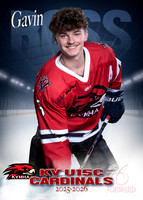 KV U15C Cardinals - Paid Digitals