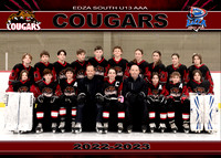 AAACougars