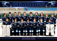 U15 AAA Minor SEADOGS