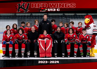 KVU13C RedWings