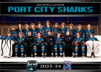 U15AAAMajor - PORT CITY SHARKS